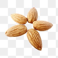 Almonds png collage element, transparent background