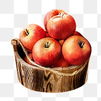 Png apple, transparent background
