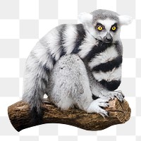 Lemur png collage element, transparent background