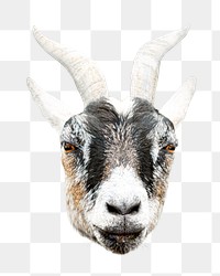 Goat png collage element, transparent background