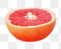 Grapefruit png collage element, transparent background