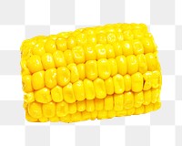 Corn cob png collage element, transparent background