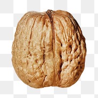 Walnut png collage element, transparent background