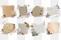 Aesthetic torn paper flower png collection, transparent background