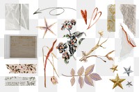 Aesthetic torn paper element png collection, transparent background