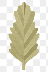 PNG green oak leaf , paper craft element, transparent background