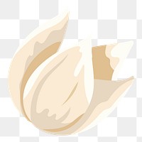 Cream aesthetic flower png, transparent background