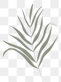 Green leaf aesthetic png, transparent background