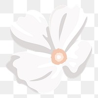 White flower aesthetic png, transparent background