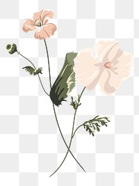 Beige flower aesthetic png, transparent background