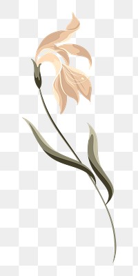 Beige flower aesthetic png, transparent background