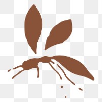 Png vintage brown bug painting, transparent background