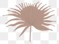 Palm leaf png pastel illustration, transparent background