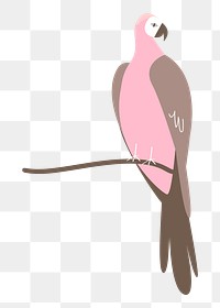 Pink parrot png pastel illustration, transparent background