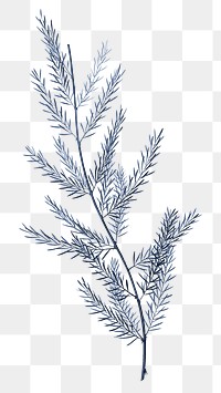 PNG vintage blue leaf, transparent background