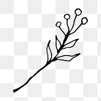 Branch line art png black doodle, transparent background