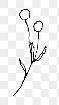 Branch line art png black doodle, transparent background