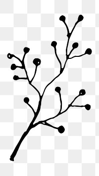 Branch line art png black doodle, transparent background
