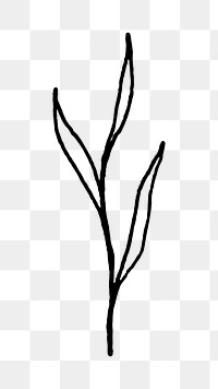 Leaf line art png black doodle, transparent background