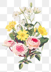 PNG vintage flower bouquet, transparent background