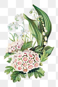 PNG vintage flower bouquet, transparent background