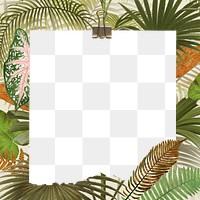 Tropical jungle png frame, palm leaf transparent design