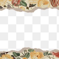 Vintage flower png border, botanical aesthetic, transparent background