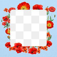 Red poppy png frame, Summer flower transparent design