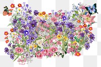 Colorful wildflowers png collage element, transparent background