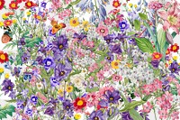 Spring flower png transparent background, colorful botanical pattern