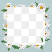 White daisy png frame, Spring flower transparent design