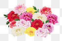 Colorful flowers png collage element, transparent background