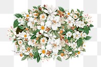 White aesthetic flower png collage element, transparent background