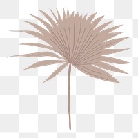 Fan palm leaf png clip art, aesthetic tropical illustration on transparent background