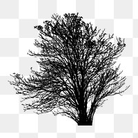 Silhouette tree png clipart illustration, transparent background. Free public domain CC0 image.