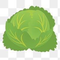 Lettuce vegetable png clipart, transparent background. Free public domain CC0 image.