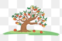 Persimmon tree png clipart, transparent background. Free public domain CC0 image.