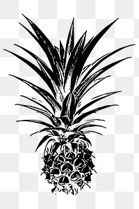 Pineapple fruit png clipart, transparent background. Free public domain CC0 image.