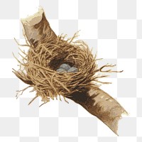 Bird nest png clipart, transparent background. Free public domain CC0 image.