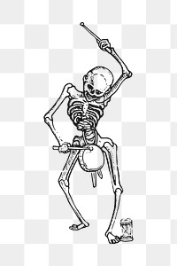 Skeleton  png clipart illustration, transparent background. Free public domain CC0 image.