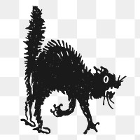 Frighten cat png sticker, transparent background. Free public domain CC0 image.