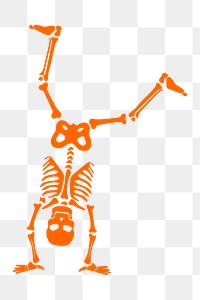 Skeleton  png clipart illustration, transparent background. Free public domain CC0 image.
