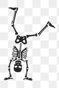 Skeleton  png clipart illustration, transparent background. Free public domain CC0 image.