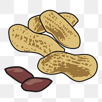 Peanut png sticker, transparent background. Free public domain CC0 image.