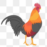 Rooster png illustration, transparent background. Free public domain CC0 image.