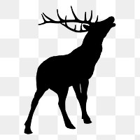 Moose png illustration, transparent background. Free public domain CC0 image.