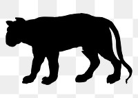 Tiger png illustration, transparent background. Free public domain CC0 image.