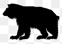 Bear png illustration, transparent background. Free public domain CC0 image.