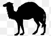 Camel png illustration, transparent background. Free public domain CC0 image.