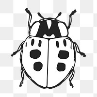 Lady bug png illustration, transparent background. Free public domain CC0 image.